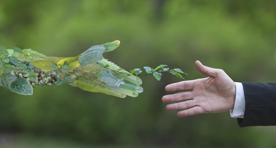 Sürdürülebilir Bir Yaşam için 5 Yeni Alışkanlık