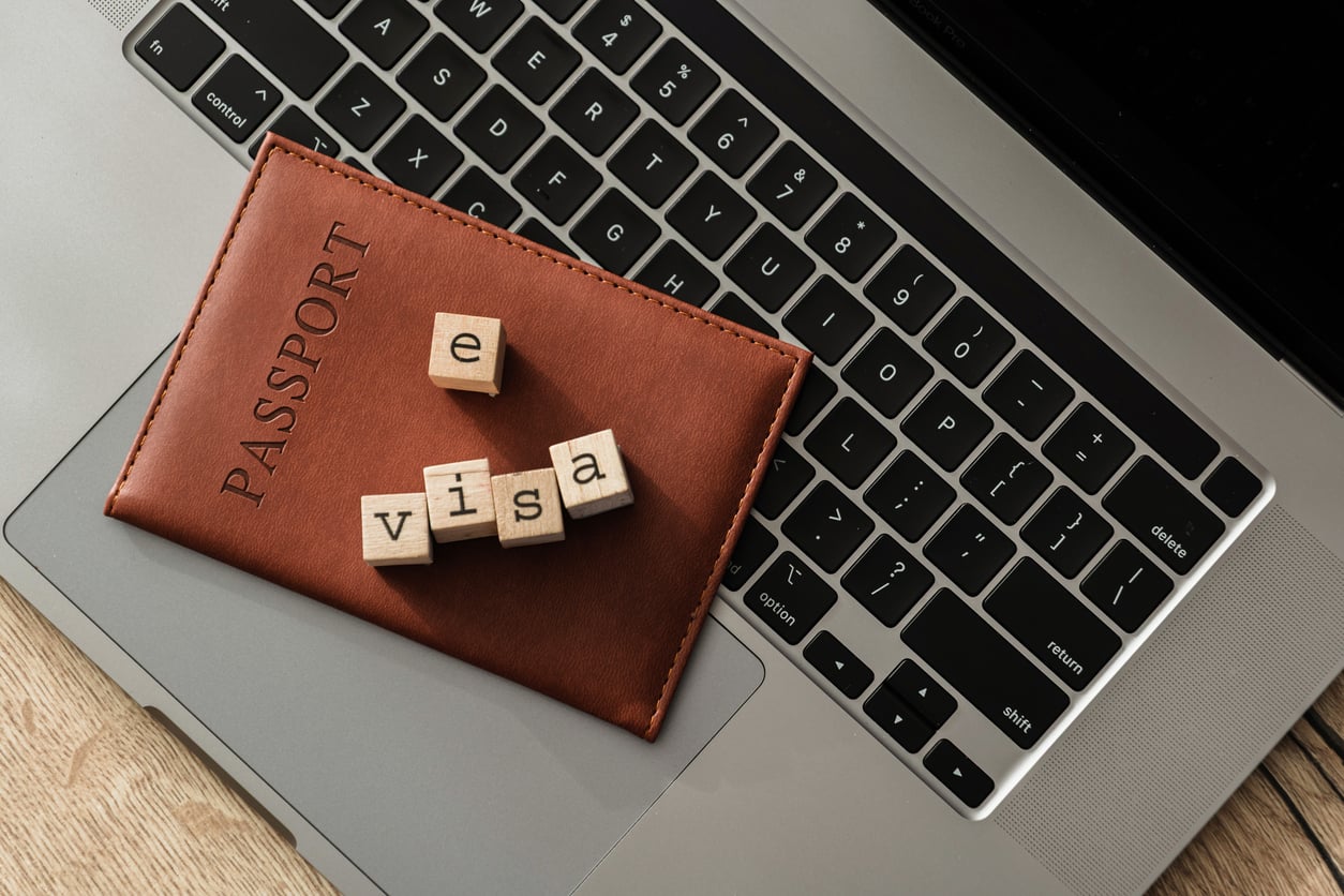 e-Vize (Online Vize) Nedir? Nasıl Alınır?